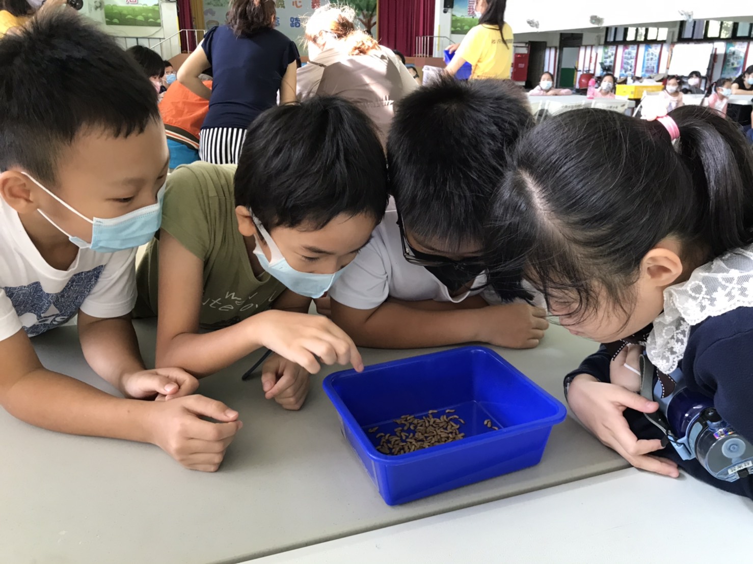 本次的兒少料理體驗活動除了動手做惜食料理外,更透過觀察黑水虻了解食物的循環及生命教育,孩子不僅看到蟲不害怕,反而充滿更多好奇。