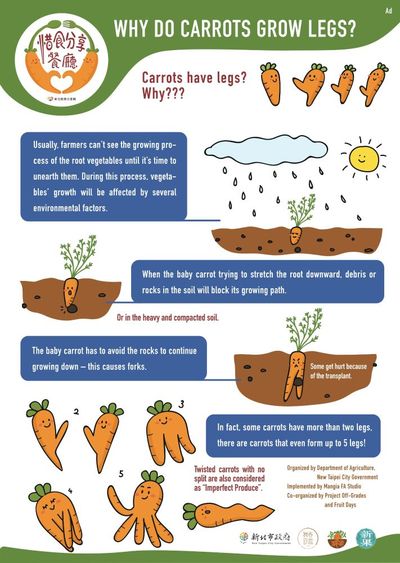 Usually, farmers can't see the growing process of the root vegetables until it's time to unearth them. During this process, vegetalbes' growth will be affected by several environmental factors.|When the baby carrot trying to stretch the root downward, debris or rocks in the soil will block its growth path.|The baby carrot has to avoid the rocks to continue growing down-this causes forks.|In fact, some carrots have more than two legs, there are carrots that even form up to 5 legs！