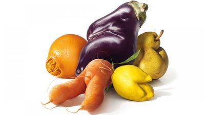 格外品茄子、柚子、紅蘿蔔及柑橘。|歐洲早在2008年已興起「醜食運動」，鼓勵人們撇低醜食的偏見